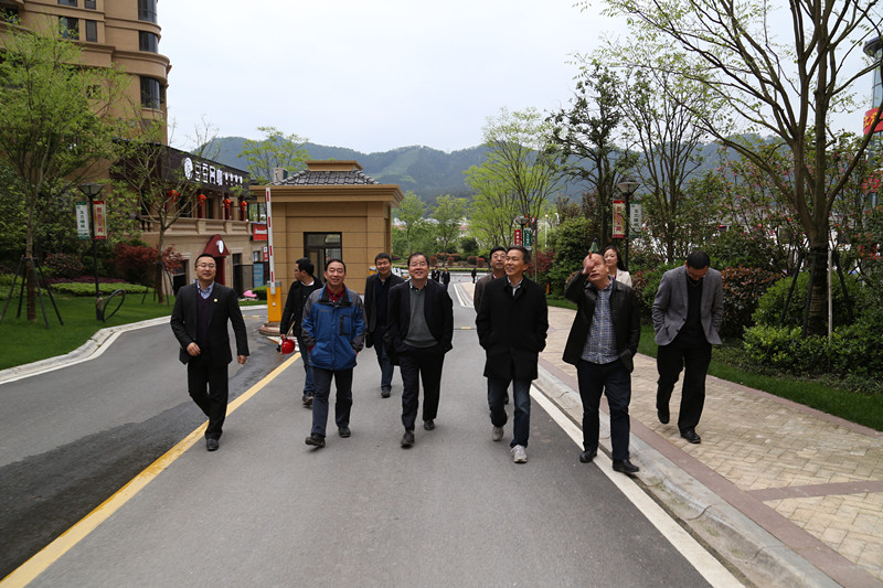 集團(tuán)公司領(lǐng)導(dǎo)調(diào)研瀾庭國(guó)際項(xiàng)目建設(shè)銷售情況